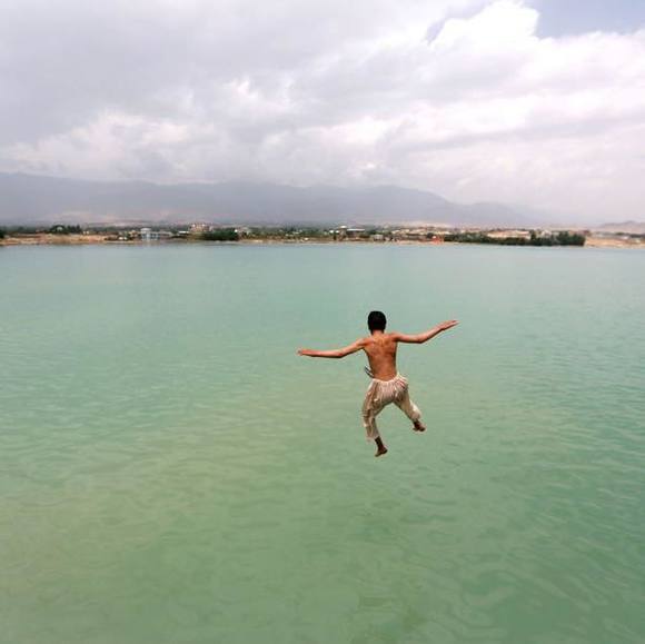 Meet your Posher, Taegan - Picture 1 of 1